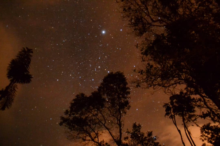 Stars