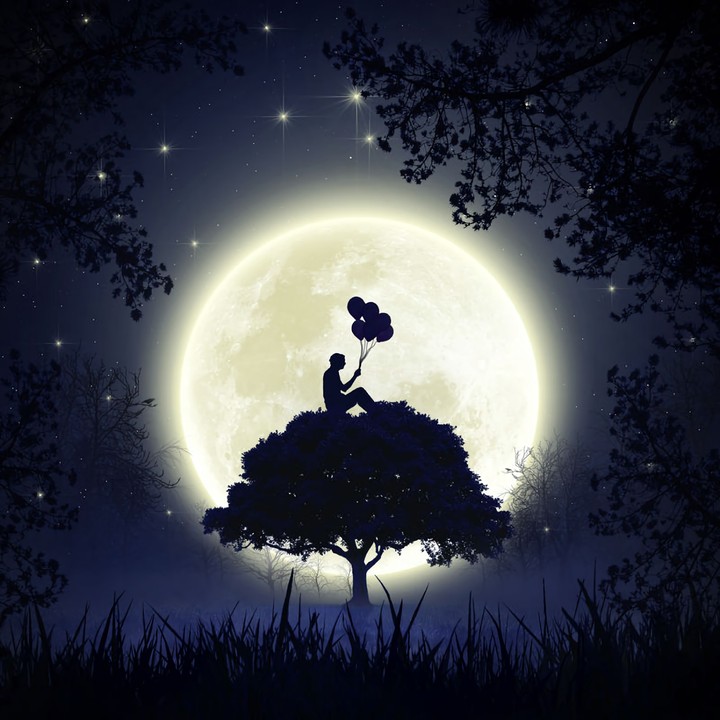 Loneliness night