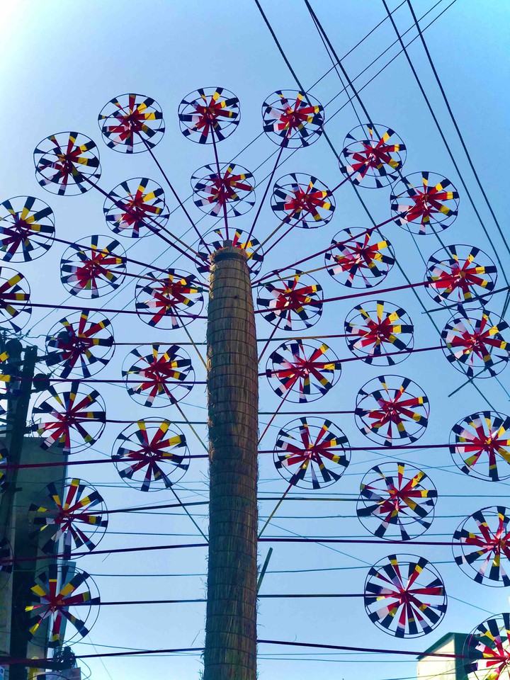 enjoy the little things in life.