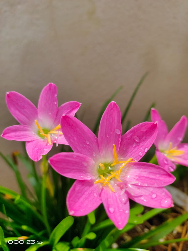 beautiful nature
