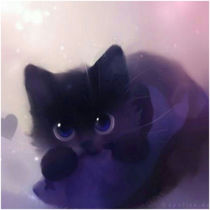 cute cat ♥♡♥