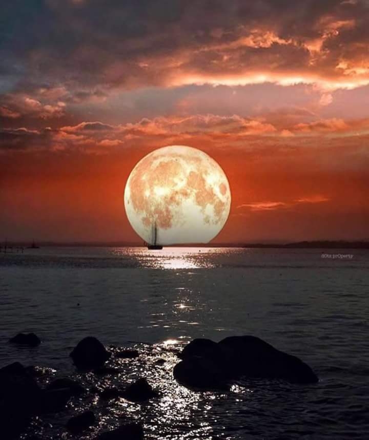 #sun and sea made for each other#sun #sea