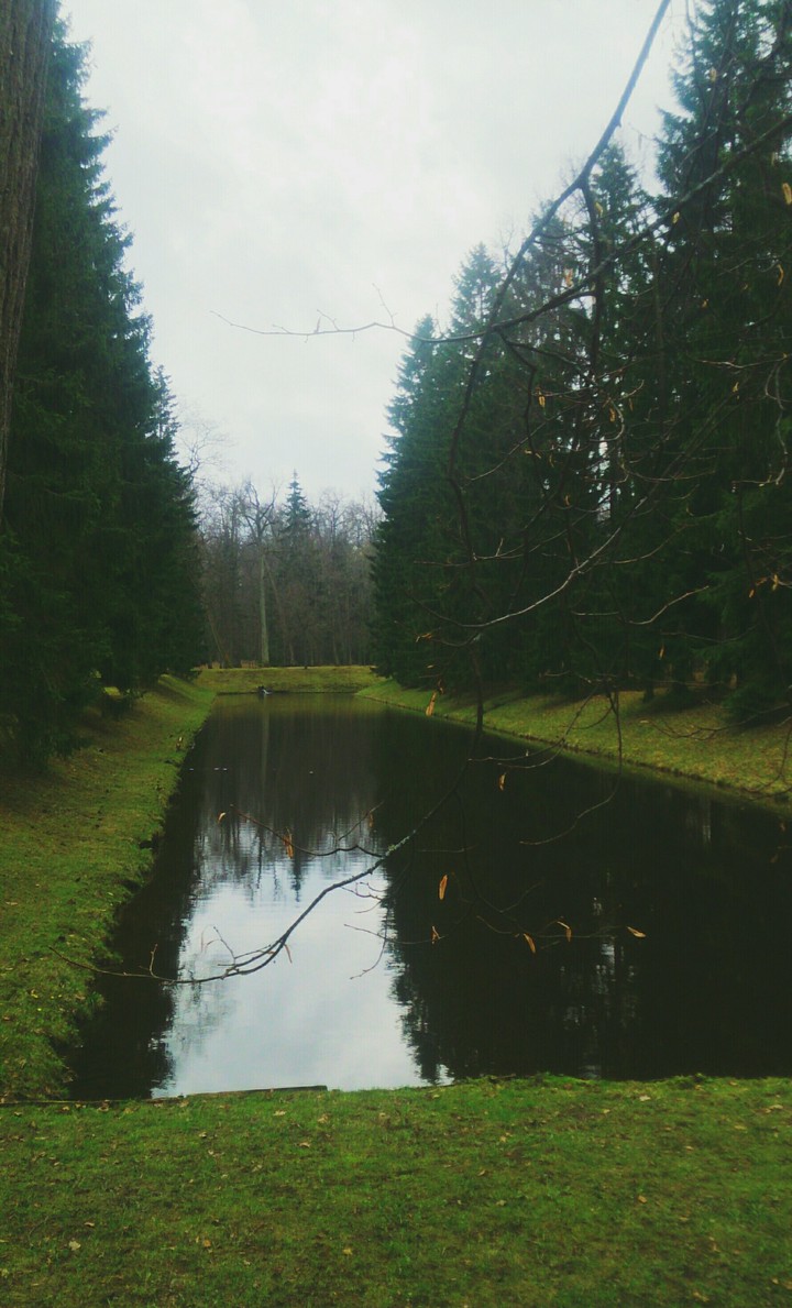 park