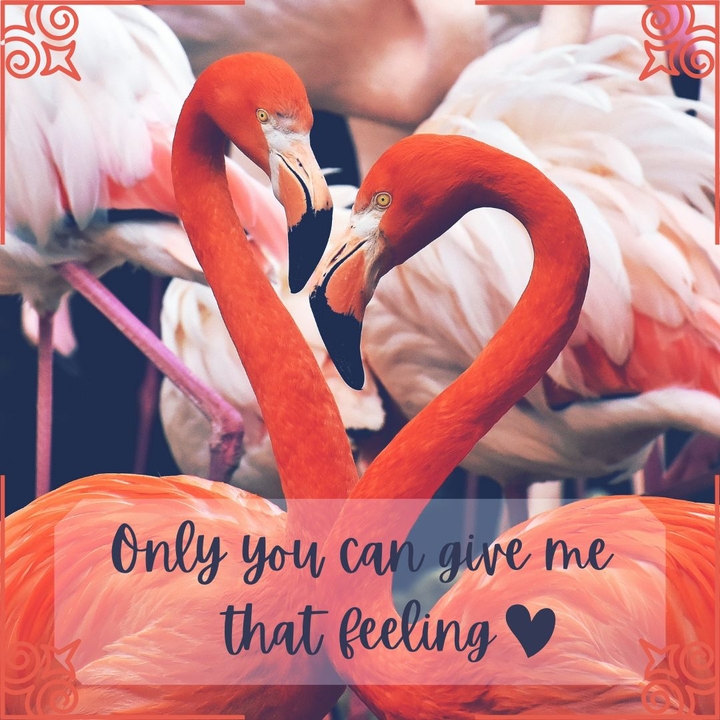 love quotes