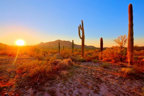 Sunset in Desert