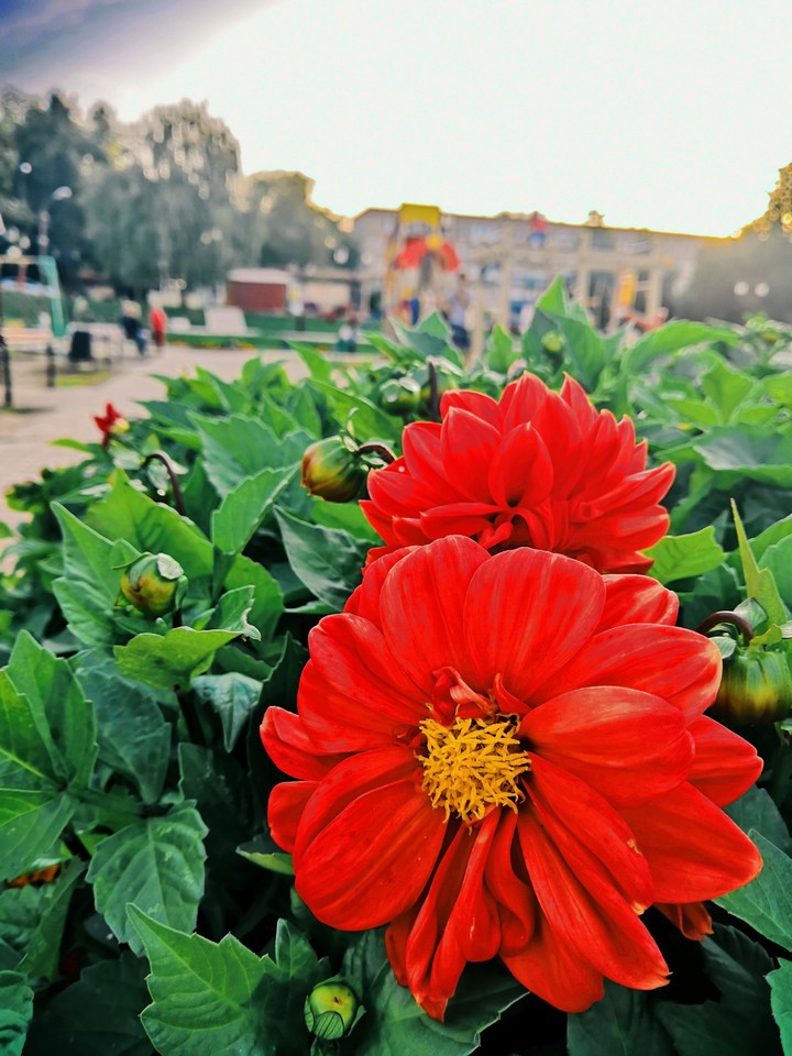 летние краски