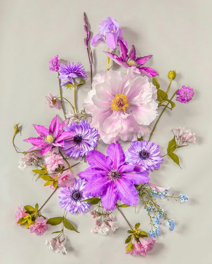 Blossom