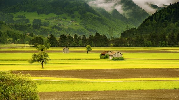 Gorgeous Nature