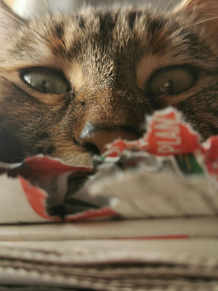 I see you