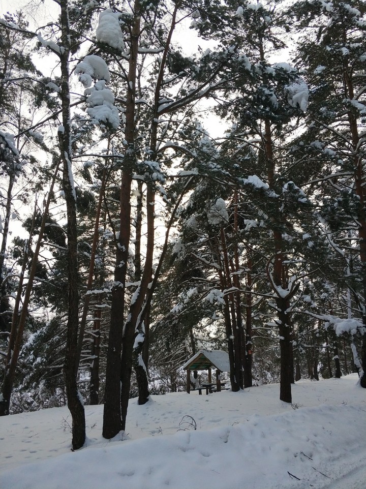 Новосельцево