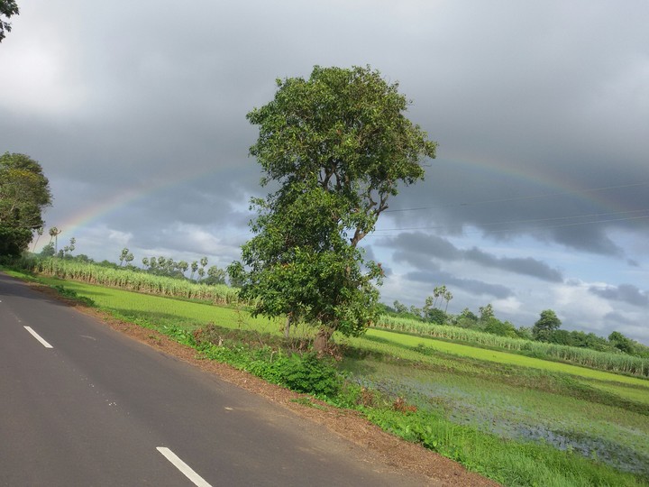 Fantastic Rainbow!