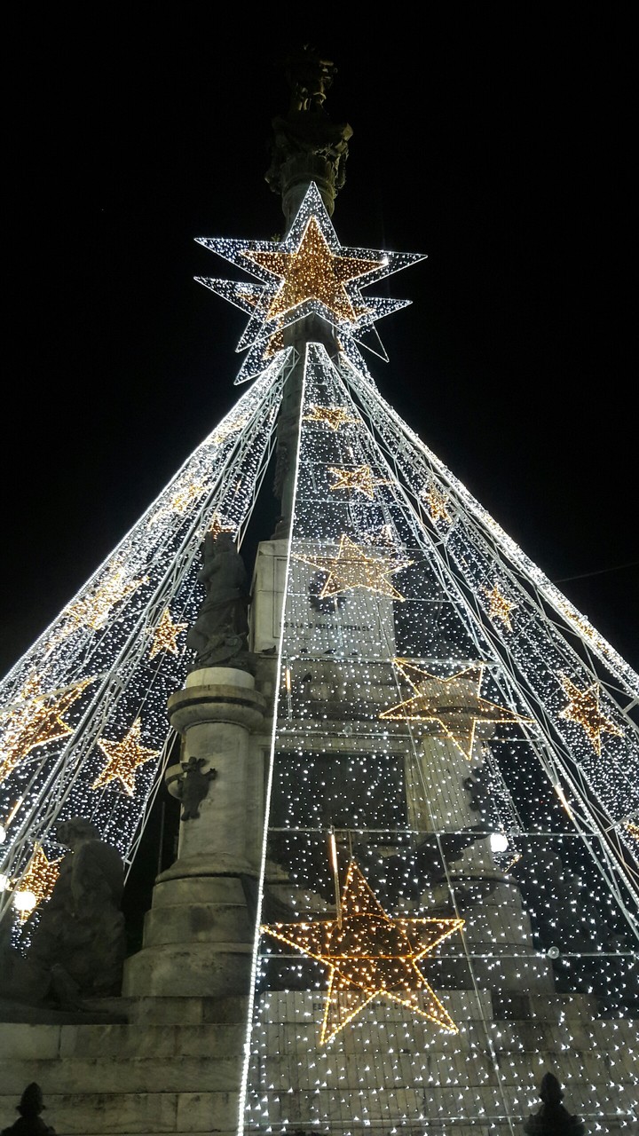 Starlights and Christmas Tree