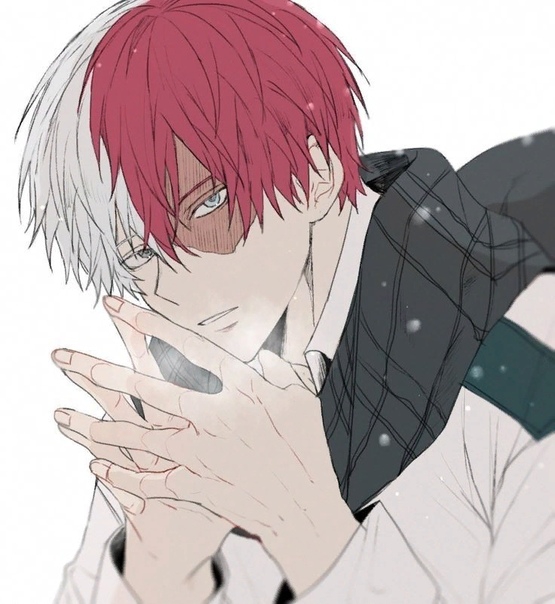 Todoroki