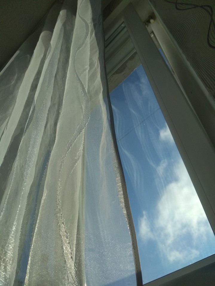 morning