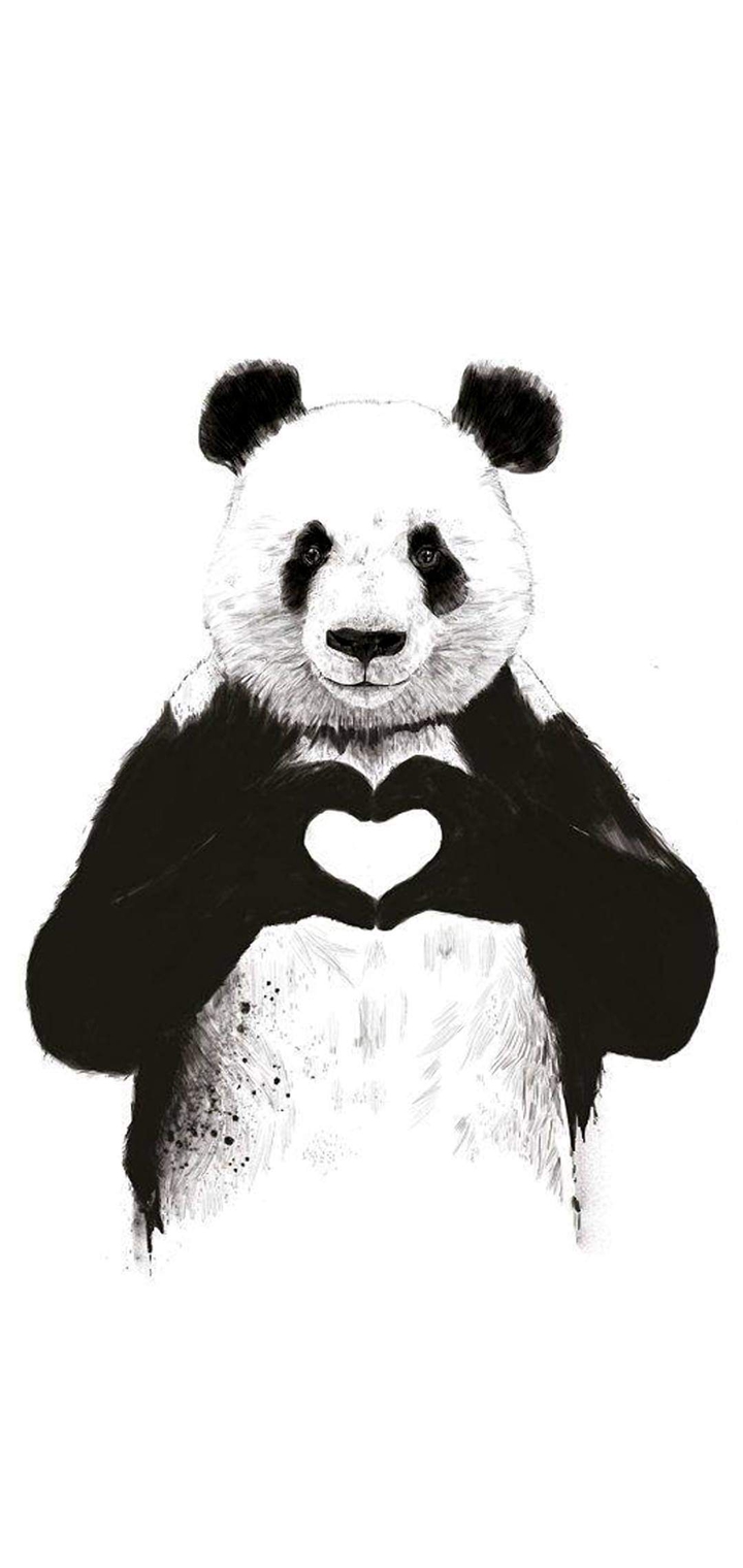 panda