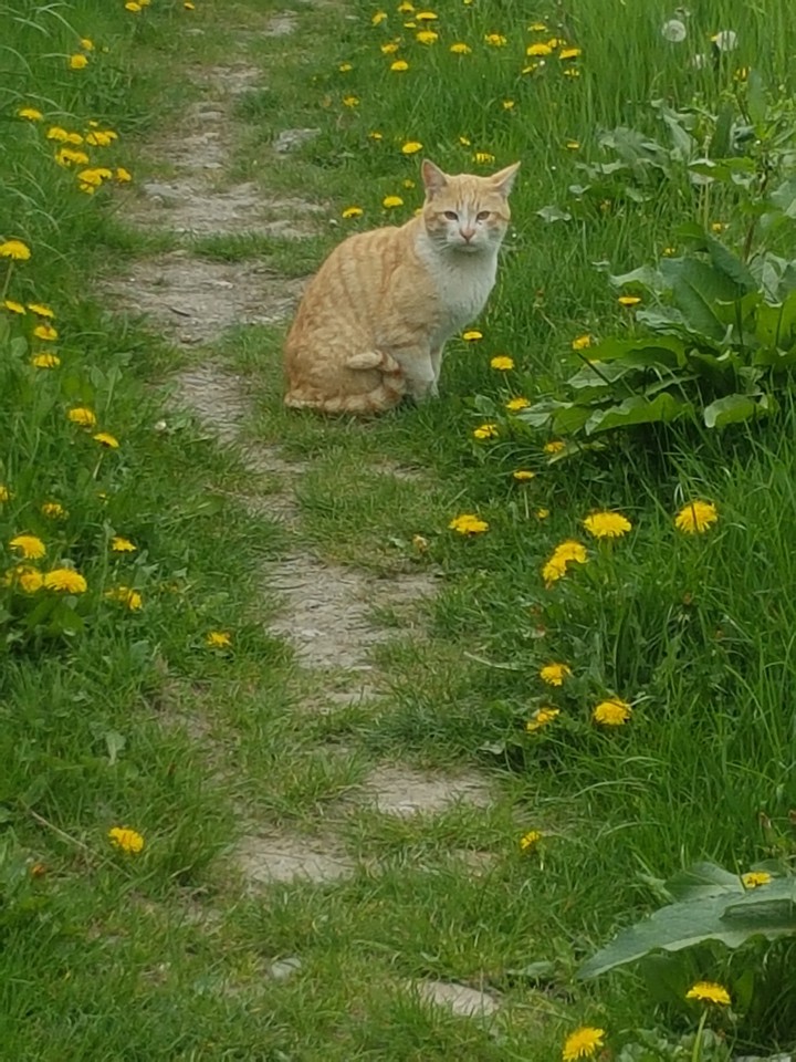 Make a good photo of my beauty