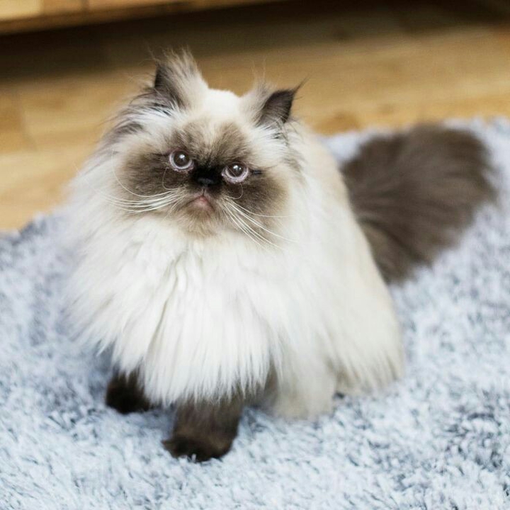 ❤❤❤