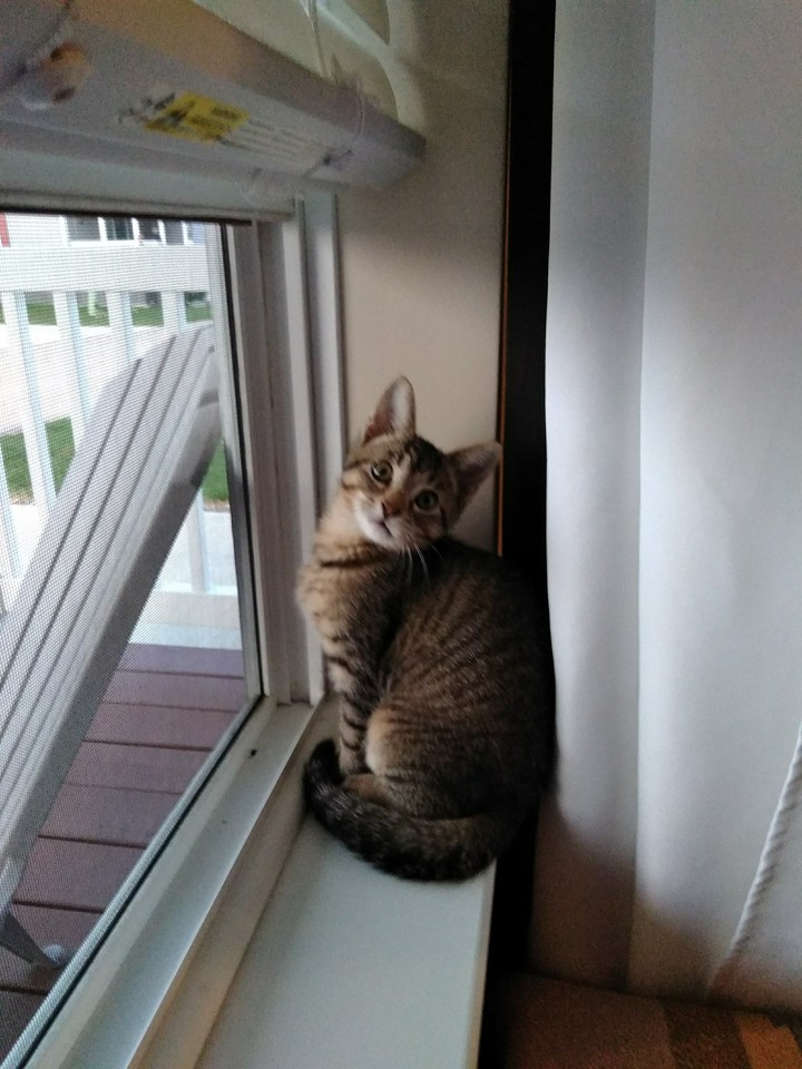Desi posing