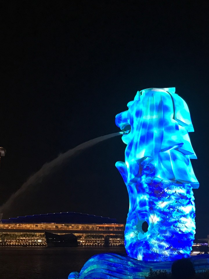 Singapore Marina Garden