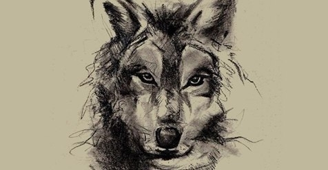 wolf