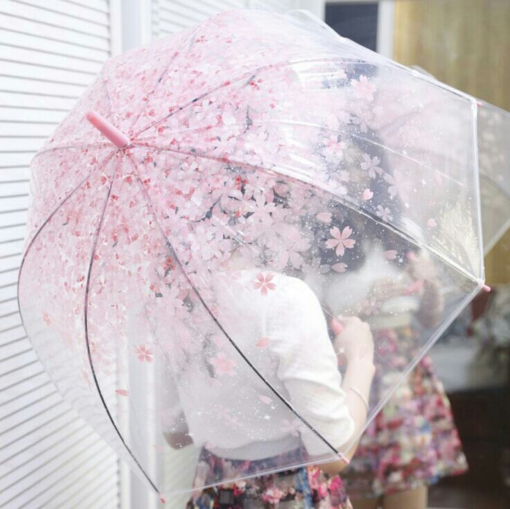 umbrella