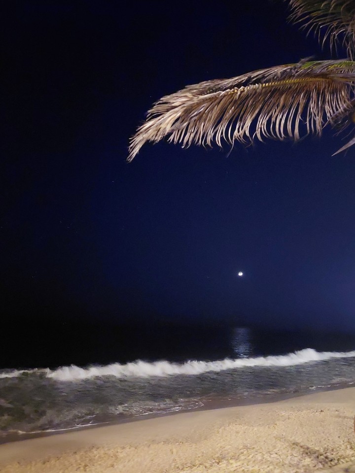 nigth mazatlán Sinaloa México