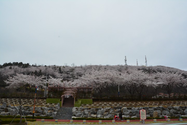 풍경이미지