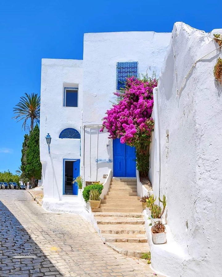 sidi bou said سيدي بو سعيد