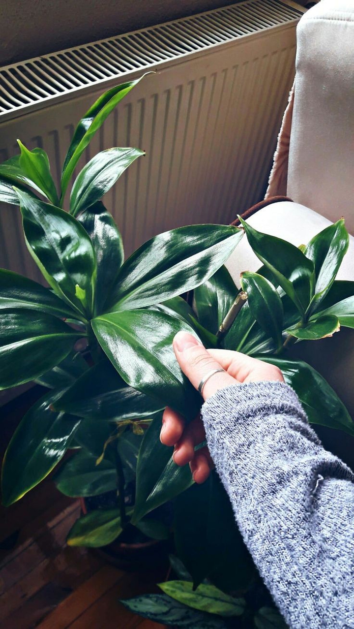 ⚘
