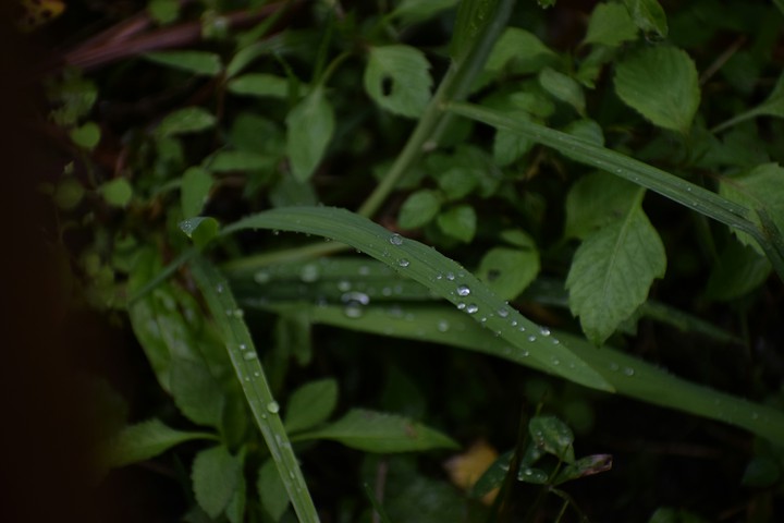 water droplets