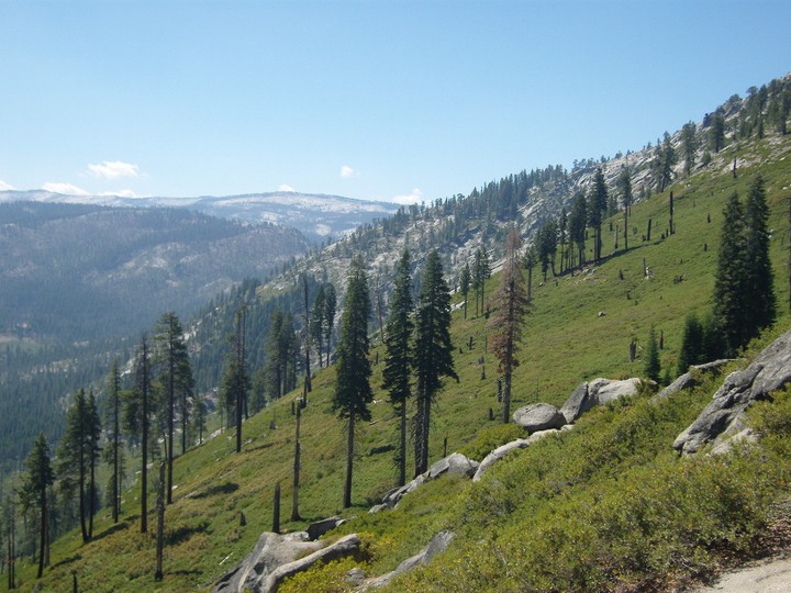 Yosemite National Park, California