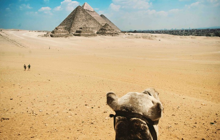 Camel’s view
