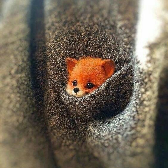 Hello...?