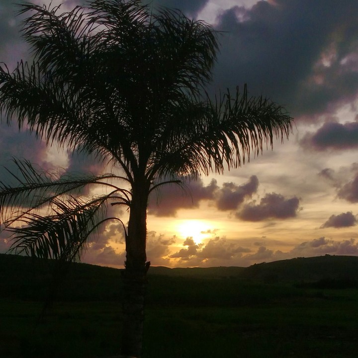 Nascer do sol