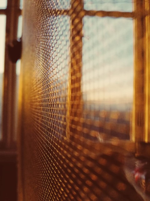 sunhugs.
