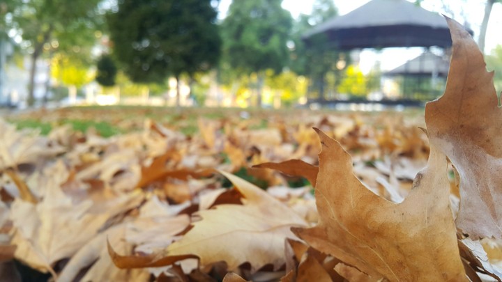 Family park