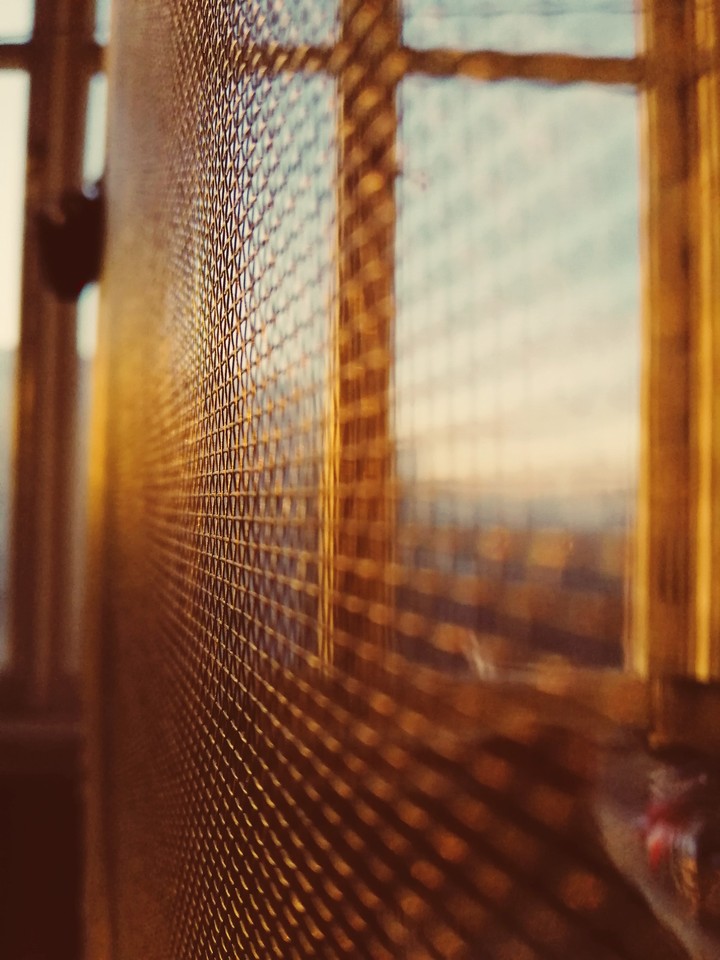 sunhugs.