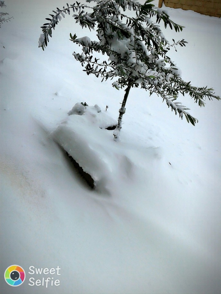 snow