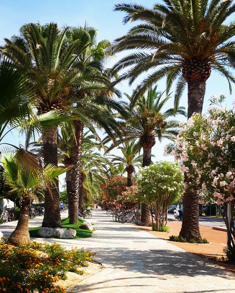 paradise