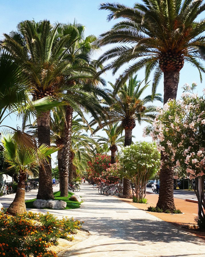 paradise