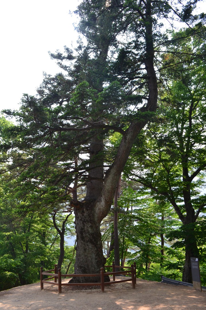 산이미지