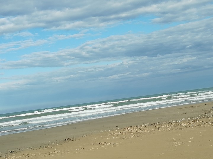 mare