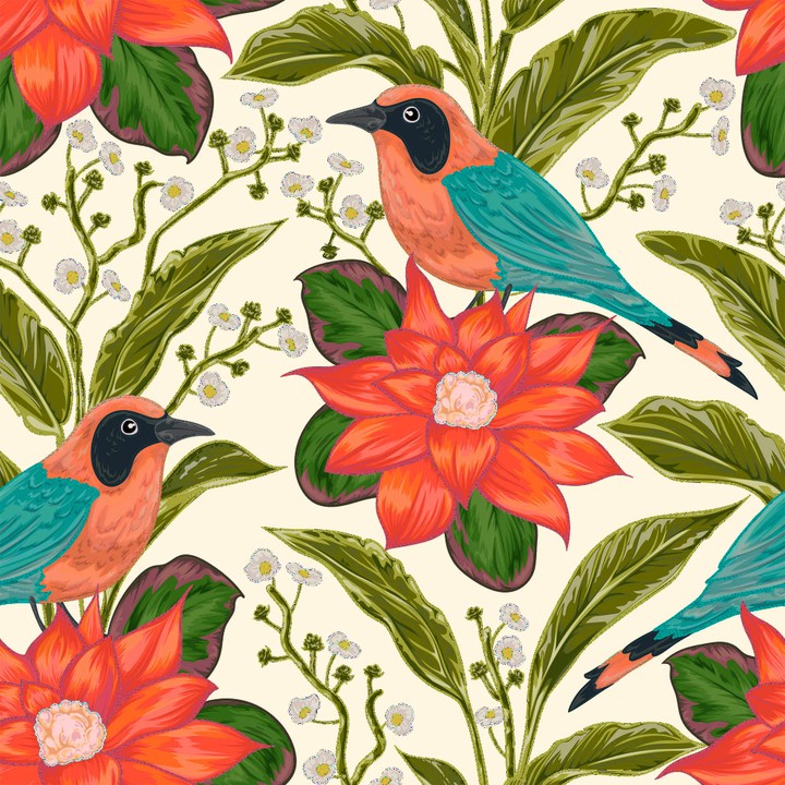 Birds