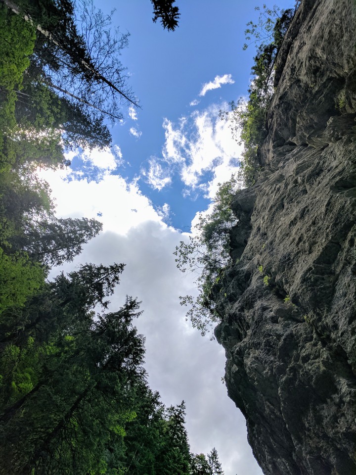 Look Up