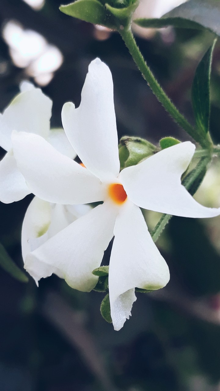 nature