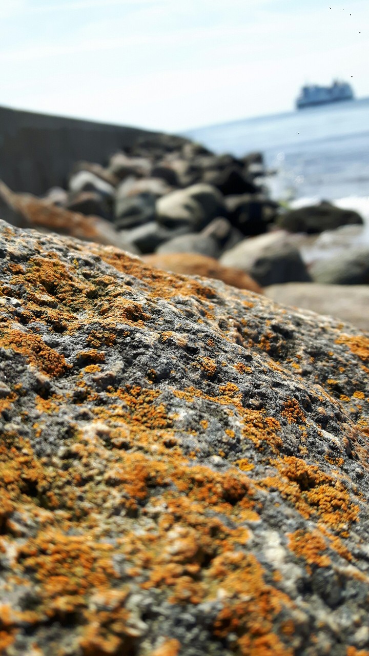 Ostsee