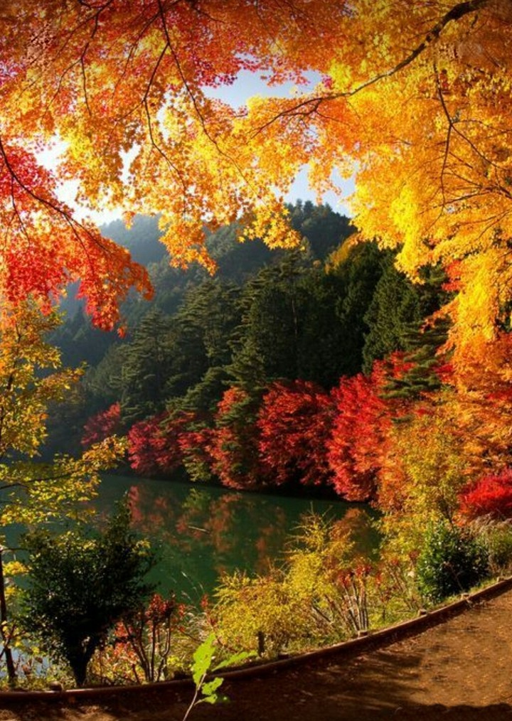 Nature