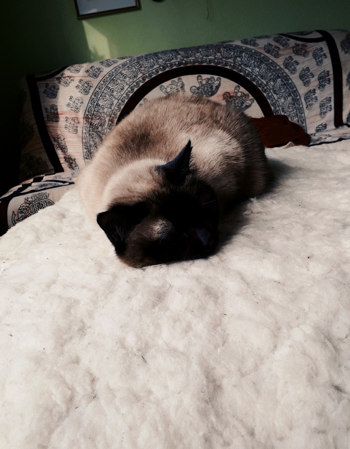 <3