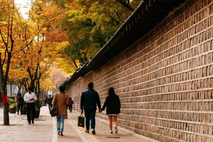 한국의 美10