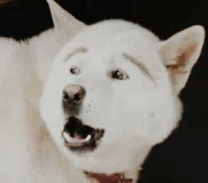 hello
